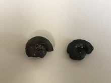 Load image into Gallery viewer, Hematite goniotite