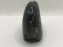 Load image into Gallery viewer, Goniatite ammonite