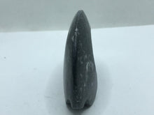 Load image into Gallery viewer, Goniatite fossil Ammonite