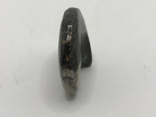 Load image into Gallery viewer, Goniatite ammonite