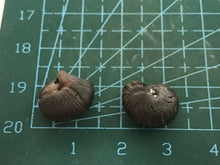 Load image into Gallery viewer, Hematite Goniotite