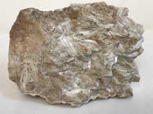 Load image into Gallery viewer, Tremolite