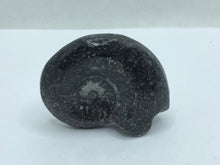 Load image into Gallery viewer, Goniatite fossil ammonite
