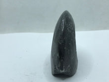 Load image into Gallery viewer, Goniatite fossil Ammonite