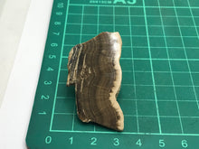 Load image into Gallery viewer, Oakstone