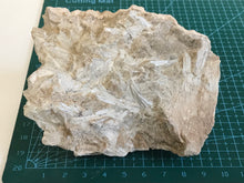 Load image into Gallery viewer, Tremolite