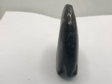 Load image into Gallery viewer, Goniatite ammonite