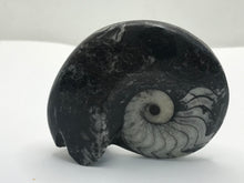 Load image into Gallery viewer, Goniatite ammonite