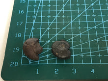 Load image into Gallery viewer, Hematite goniotite