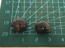 Load image into Gallery viewer, Hematite Goniotite