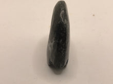 Load image into Gallery viewer, Goniatite fossil ammonite