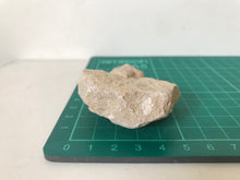 Load image into Gallery viewer, Otodus Sharks Tooth