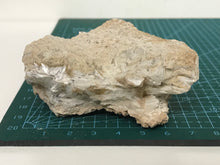 Load image into Gallery viewer, Tremolite