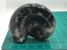 Load image into Gallery viewer, Goniatite ammonite