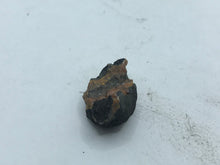 Load image into Gallery viewer, Campylite