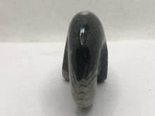 Load image into Gallery viewer, Goniatite ammonite