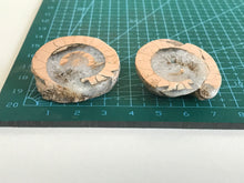 Load image into Gallery viewer, Permian Ammonite