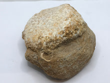 Load image into Gallery viewer, Stingray pallet