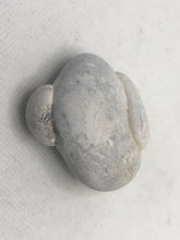 Load image into Gallery viewer, Menalite