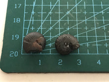 Load image into Gallery viewer, Hematite Goniotite