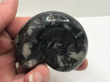 Load image into Gallery viewer, Goniatite ammonite