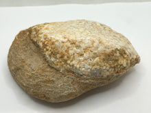 Load image into Gallery viewer, Stingray pallet