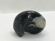 Load image into Gallery viewer, Goniatite ammonite