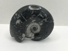 Load image into Gallery viewer, Goniatite