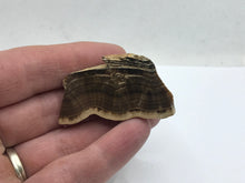 Load image into Gallery viewer, Oakstone