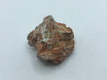 Load image into Gallery viewer, Pyrophyllite