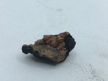 Load image into Gallery viewer, Campylite