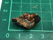 Load image into Gallery viewer, Campylite