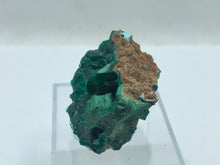 Load image into Gallery viewer, Dioptase