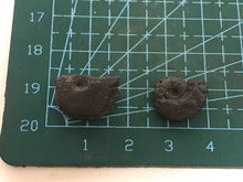 Load image into Gallery viewer, Hematite ammonite