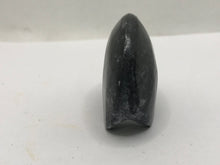 Load image into Gallery viewer, Goniatite ammonite