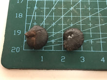 Load image into Gallery viewer, Hematite Goniotite