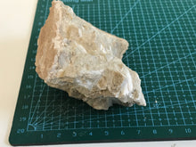 Load image into Gallery viewer, Tremolite
