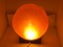 Load image into Gallery viewer, Himalayan tree of life salt lamp