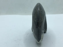 Load image into Gallery viewer, Goniatite fossil Ammonite