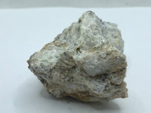 Load image into Gallery viewer, ferronigerite