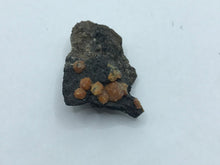 Load image into Gallery viewer, Campylite