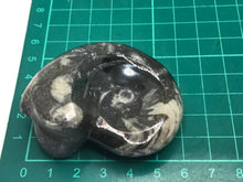 Load image into Gallery viewer, Goniatite ammonite