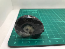 Load image into Gallery viewer, Goniatite fossilised ammonite