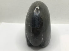 Load image into Gallery viewer, Goniatite fossil ammonite