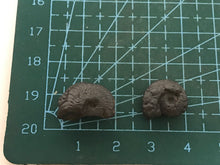 Load image into Gallery viewer, Hematite ammonite