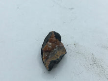 Load image into Gallery viewer, Campylite