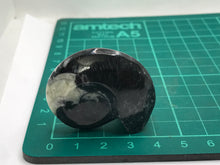 Load image into Gallery viewer, Goniatite ammonite