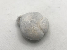 Load image into Gallery viewer, Menalite