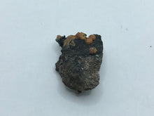 Load image into Gallery viewer, Campylite