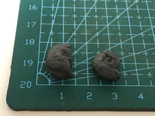 Load image into Gallery viewer, Hematite ammonite